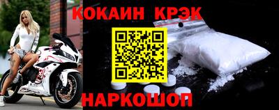 крисы Кингисепп
