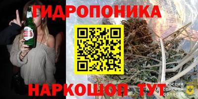 крисы Кингисепп