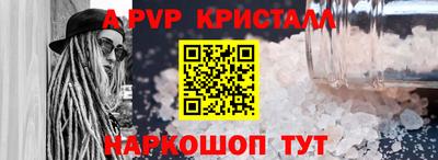 крисы Кингисепп