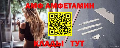 крисы Кингисепп