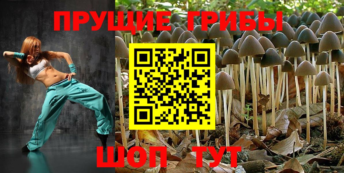 Галлюциногенные грибы Psilocybe Ульяновск