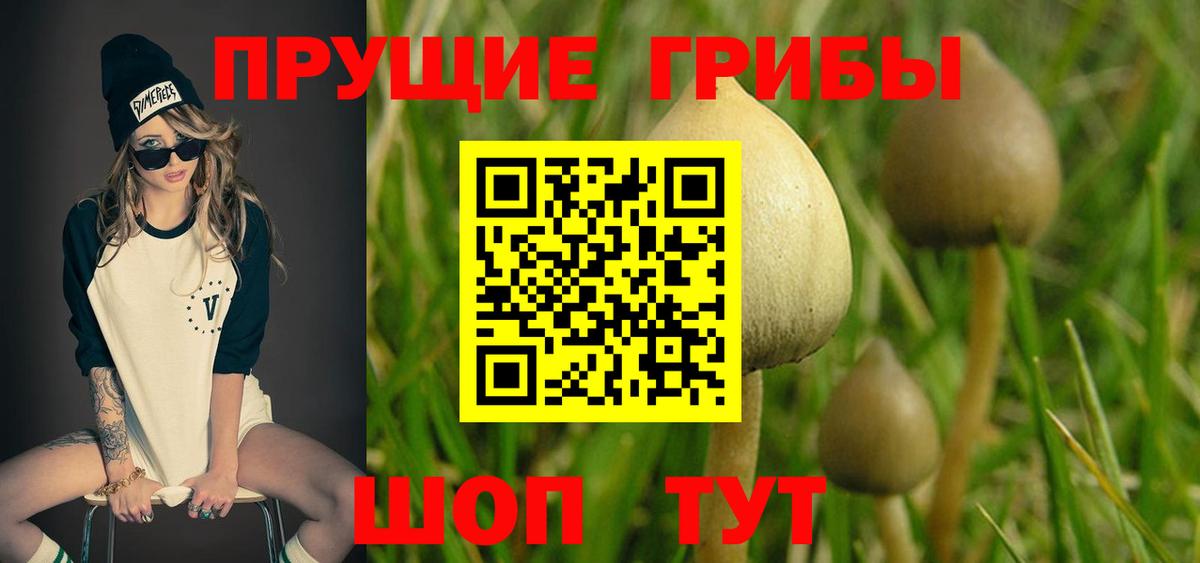 Псилоцибиновые грибы Magic Shrooms  Вход с VPN  Ульяновск  Галлюциногенные грибы Psilocybine cubensis 
